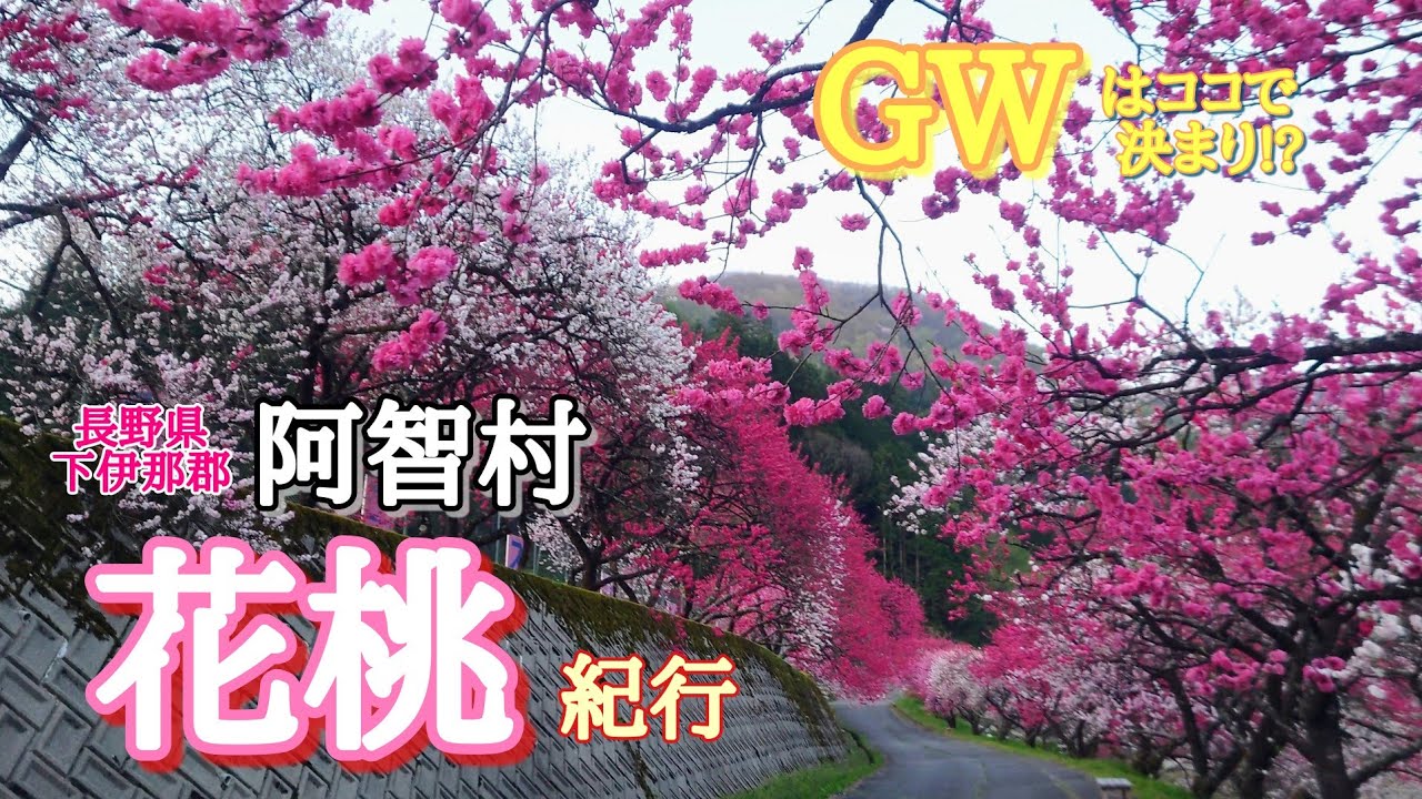 花桃紀行　長野県下伊那郡阿智村「花桃の里」月川温泉郷