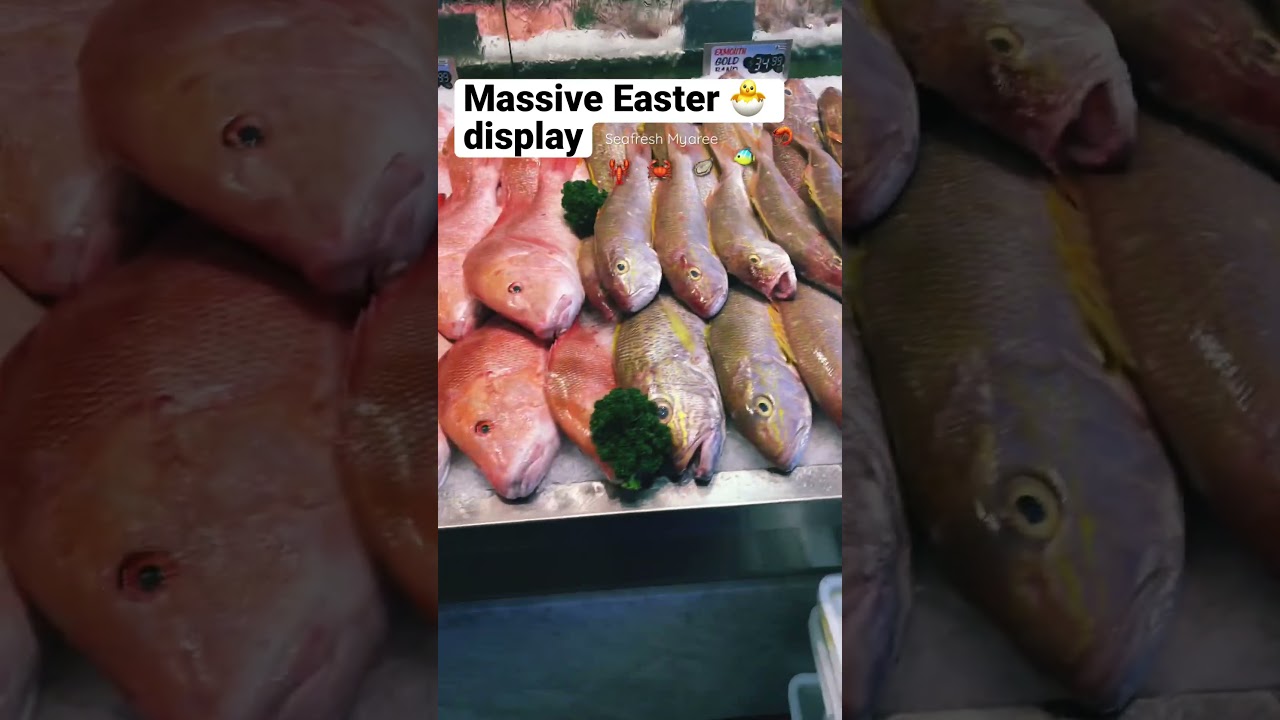 Massive Easter display #perth #seafresh #fishmonger #australia #fish #tasty #shorts