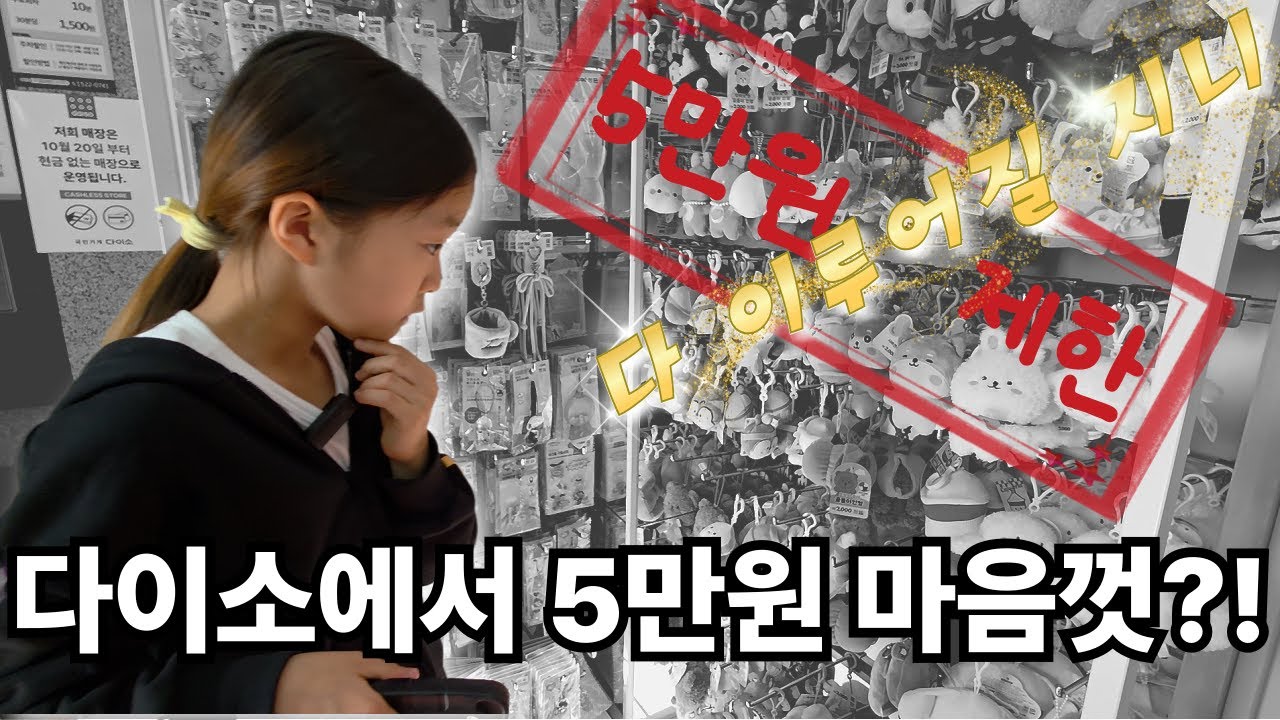다이소에서 5만원 마음껏 쓰기! 쩡이의 다이소 암산쇼핑
