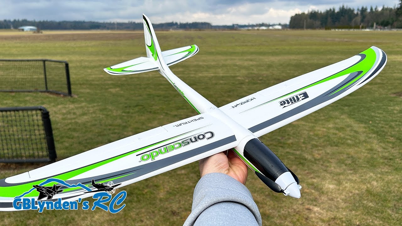 Maiden Flight Review | E-flite UMX Conscendo BNF Basic RC Glider