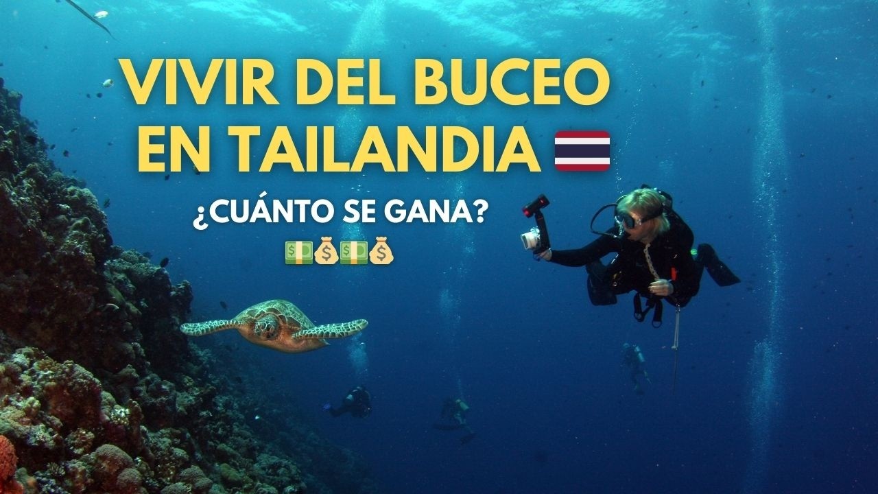Cómo ser instructor de buceo en Koh Tao 🇹🇭 | Cuánto se gana, costos y vida real