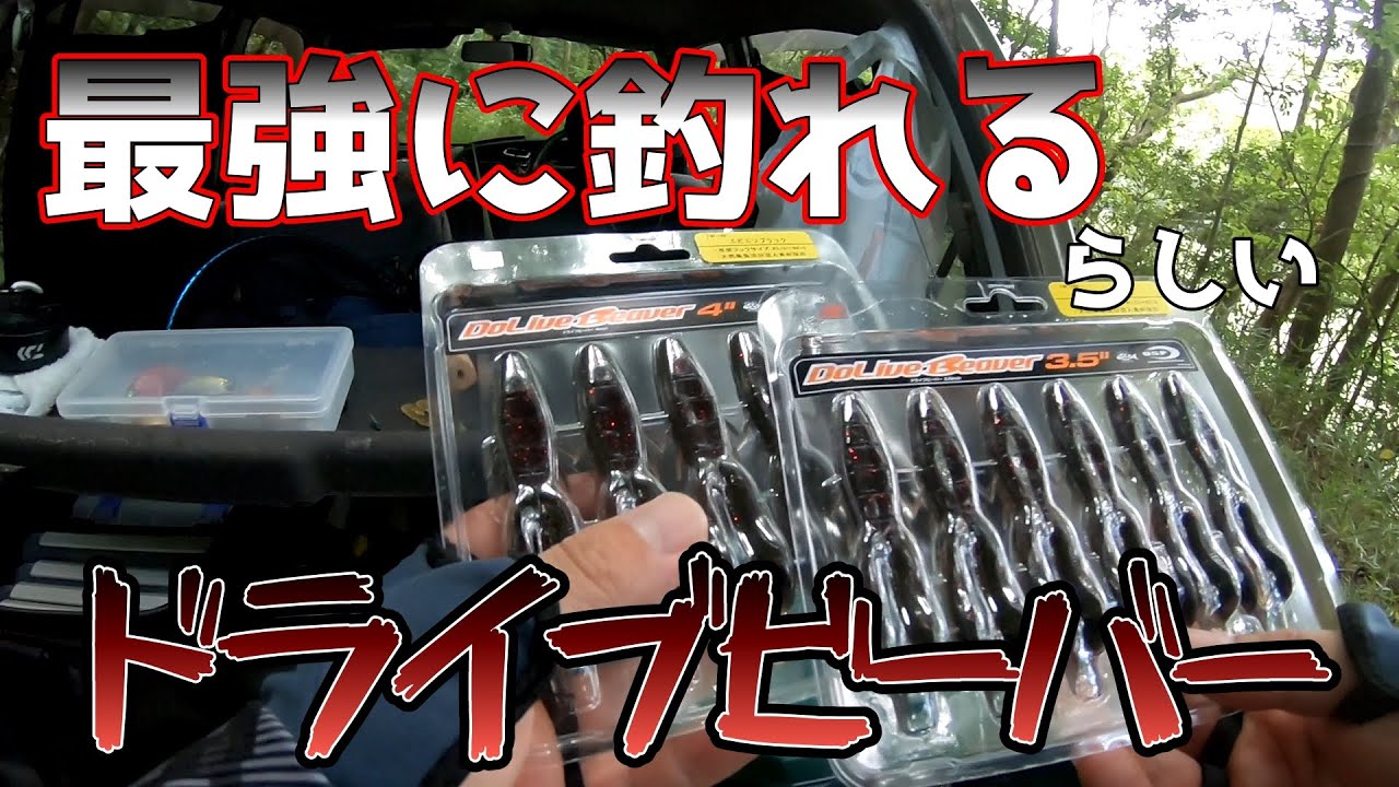 【ドライブビーバーで遊びたい】もろすぎぃ！！！【ギュンギュンバサロ】