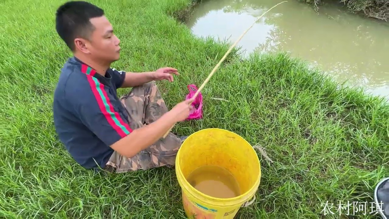毫不起眼的水塘真藏货，阿琪野钓下竿突遇巨咬钩，劲真猛看着过瘾