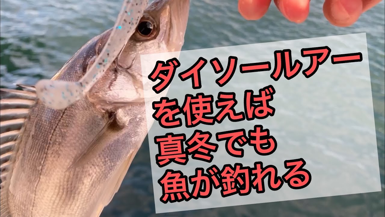 【まだまだ釣れる】ダイソールアーを持ってシーバス釣りに行ってきました（三重県四日市）