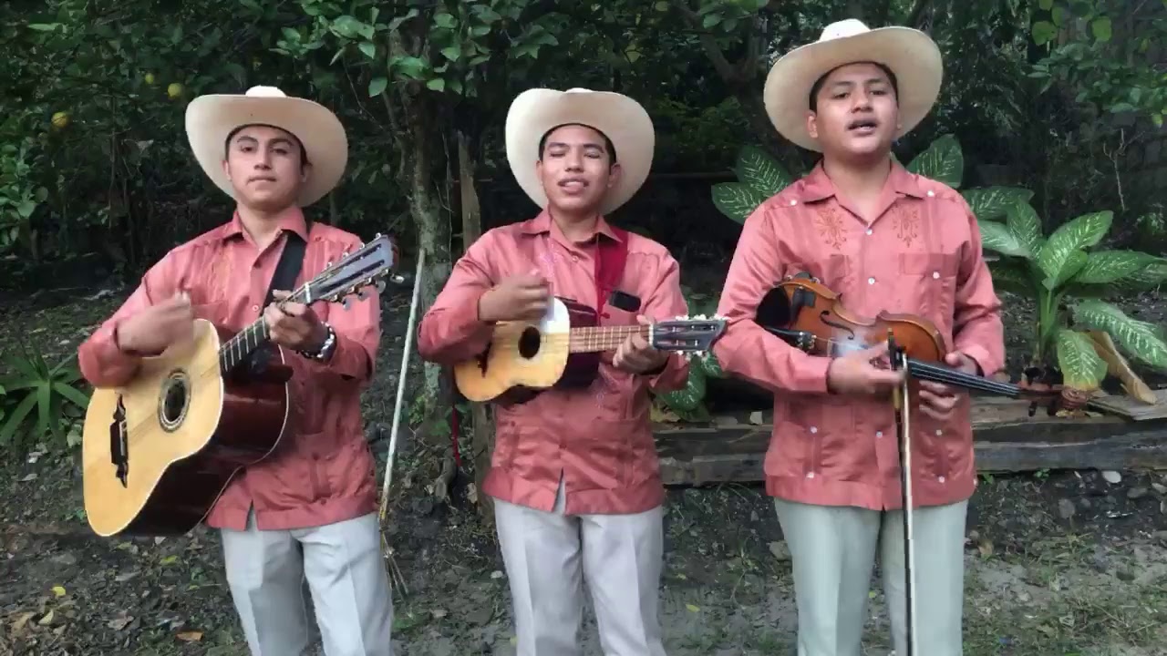 Trío Temple Huasteco en Vivo  KM 6 Tihuatlan Ver. (Puro Huapango Huasteco)