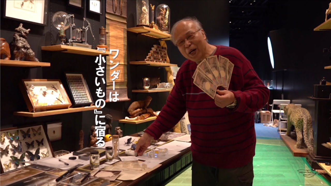 荒俣ワンダー秘宝館 Hiroshi Aramata's Wonder Hidden Museum