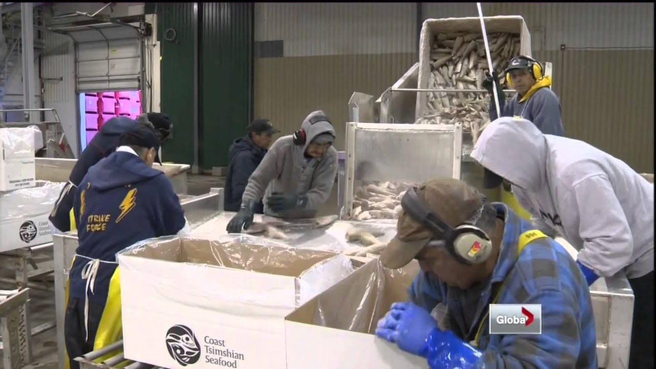 Coast Tsimshian Fish Plant
