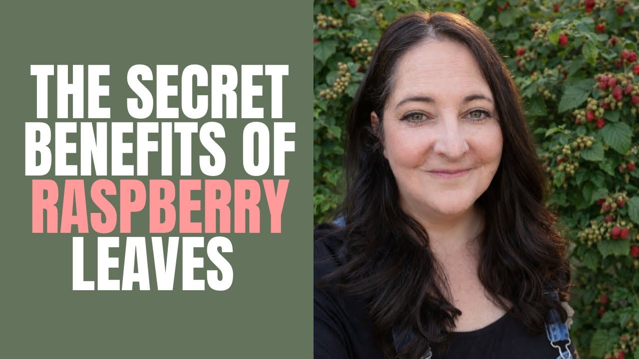 We&rsquo;ve Misunderstood Red Raspberry Leaf for Generations
