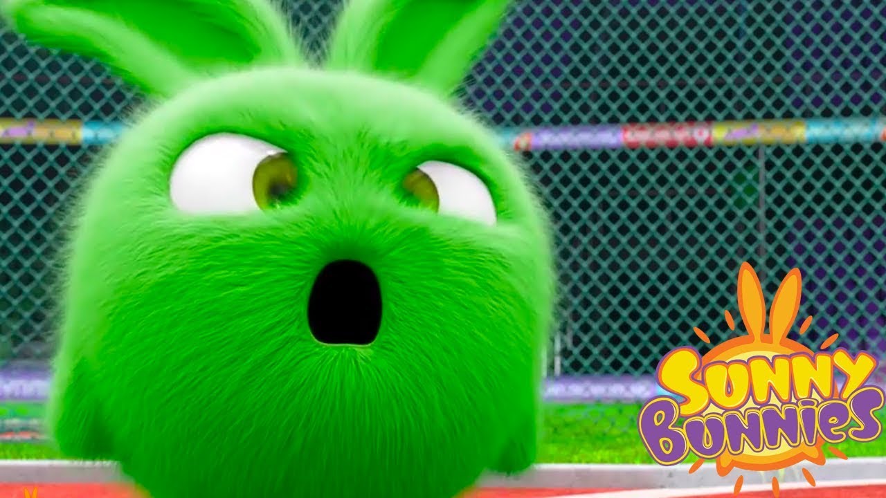 Sunny Bunnies BUNNY OLYMPICS | Videos For Kids | Funny Videos For Kids