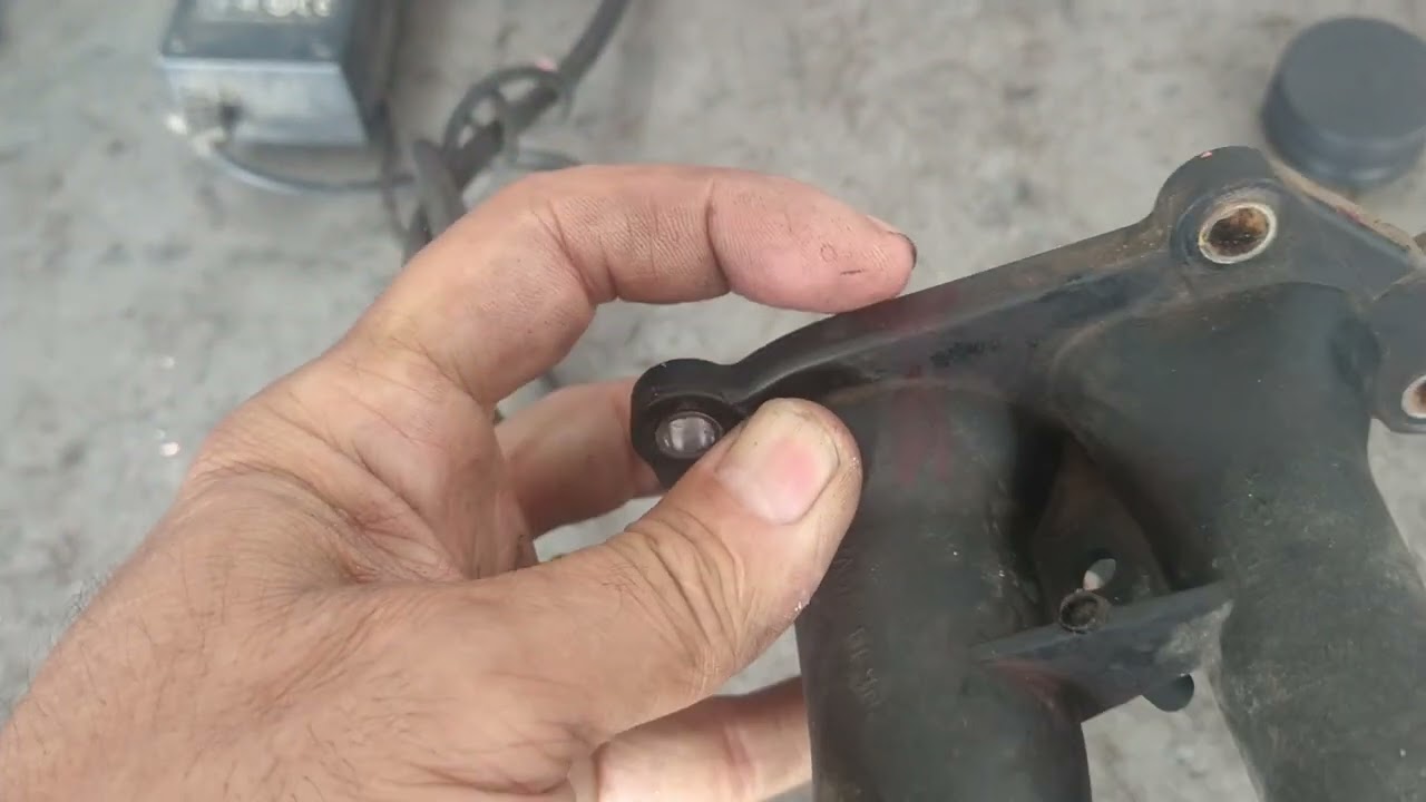 niwfiesta aquecendo motor, dica fantástica