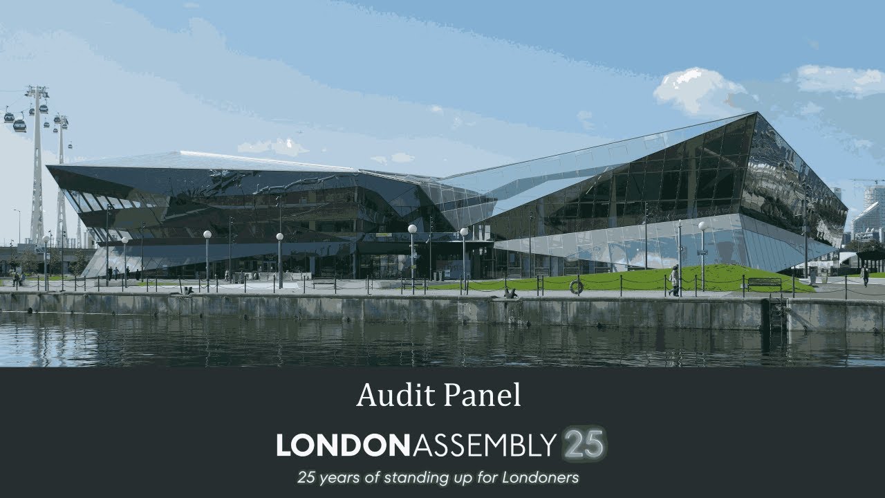 Audit Panel