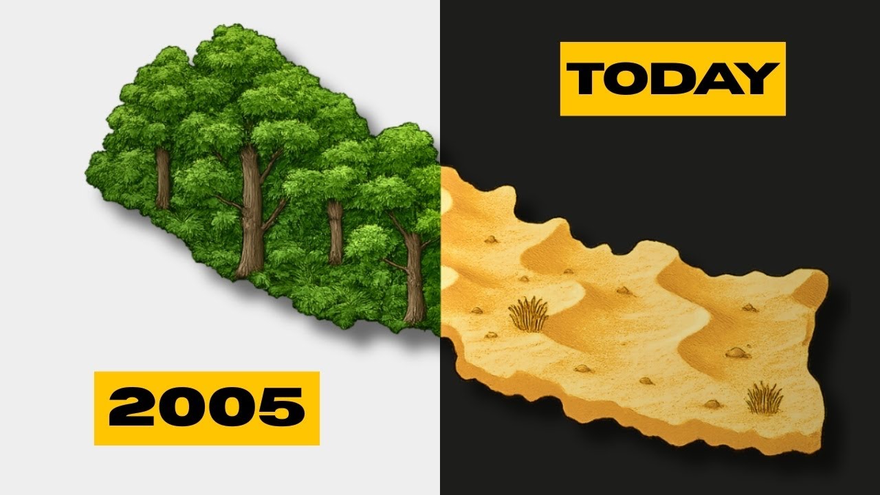 Why Preservation isn't Working (For People)