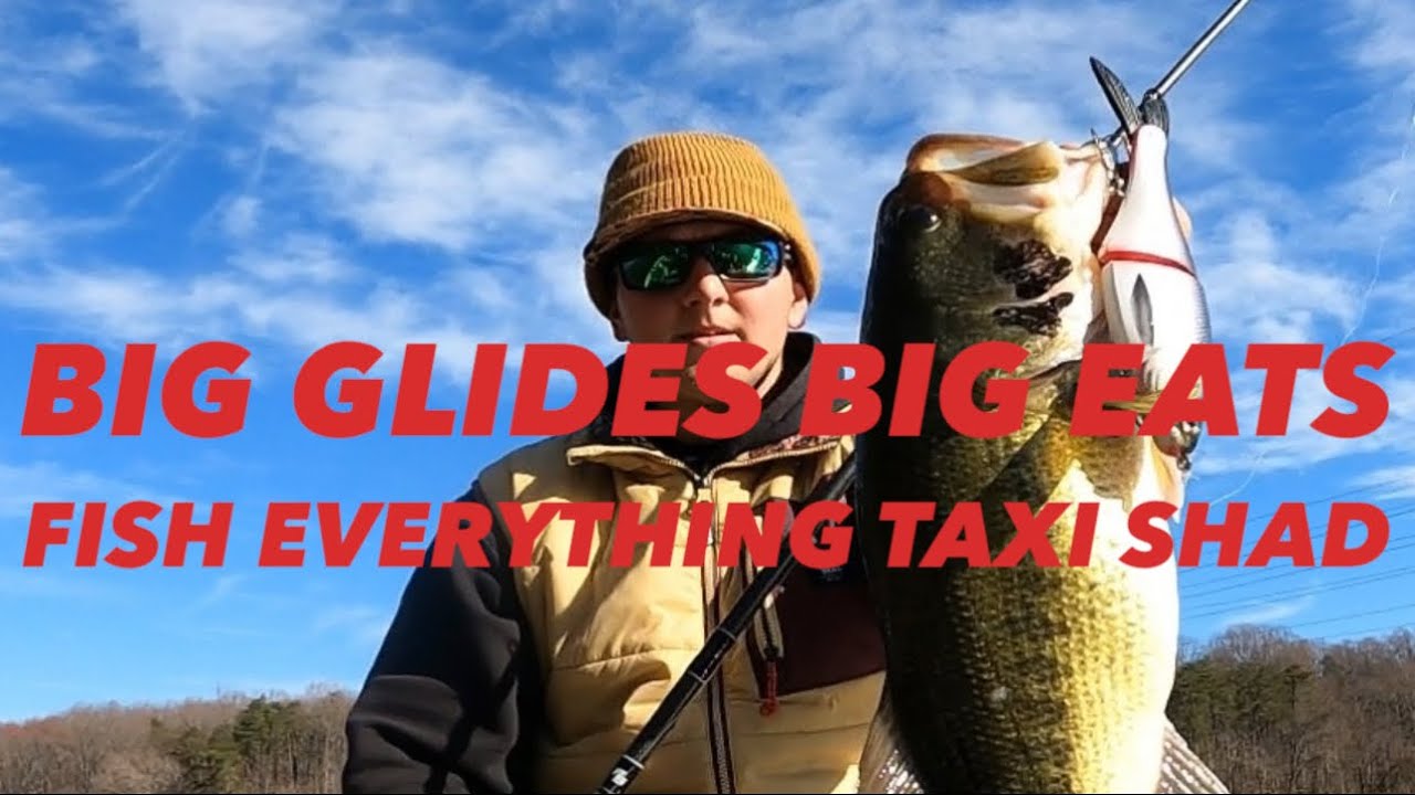 Swimbait fishing with the Glide Bait on Livescope