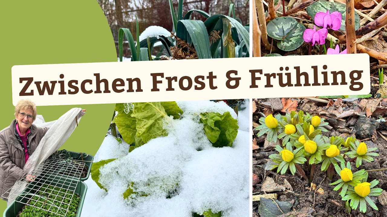 Gartenrundgang Ende Februar - Was wächst & was noch wartet