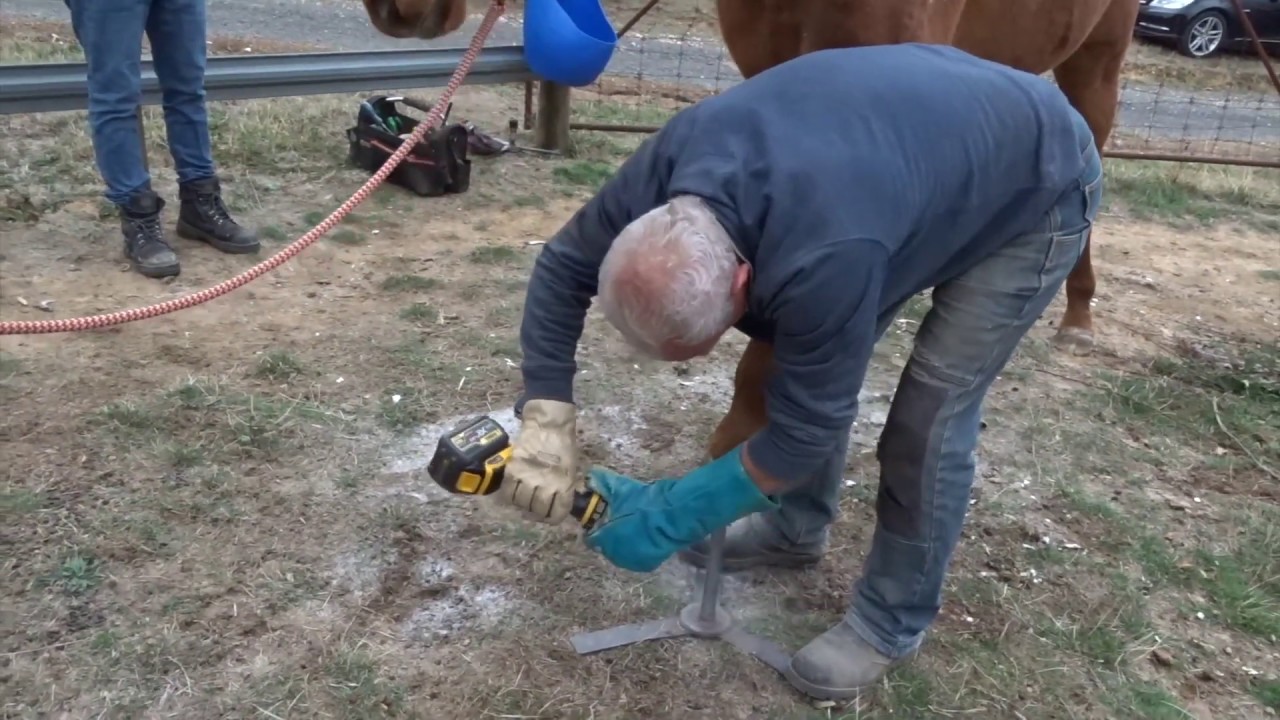 Hoof Trimming - with grinder