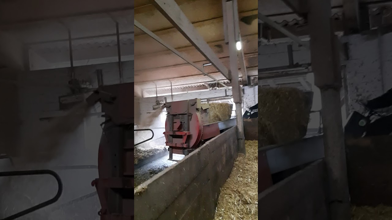 Liegeboxen eintreuen