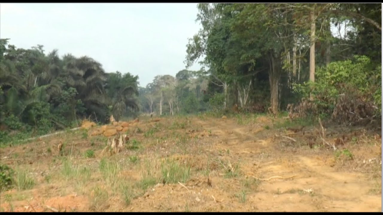 PHASE 2 DE L'AUTOROUTE DOUALA - YAOUNDÉ: LES INDEMNISATIONS BLOQUENT LE DÉMARRAGE DES TRAVAUX- ETV