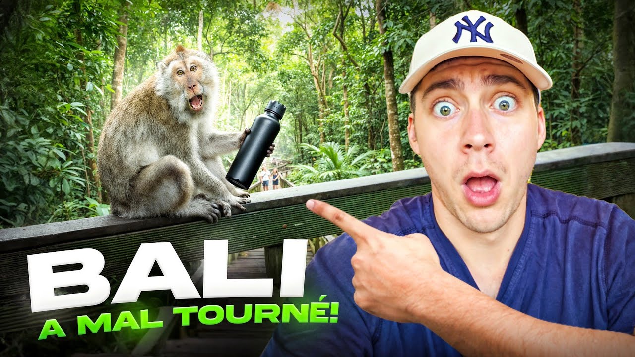 UN FRANÇAIS DÉCOUVRE BALI : Monkey Forest & premières galères