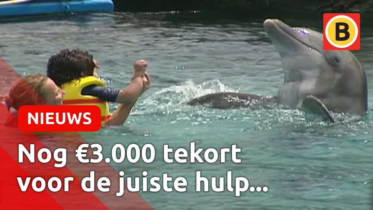 Inzamelingsactie Sem (10) voor Dolfijnen-therapie | Omroep Brabant