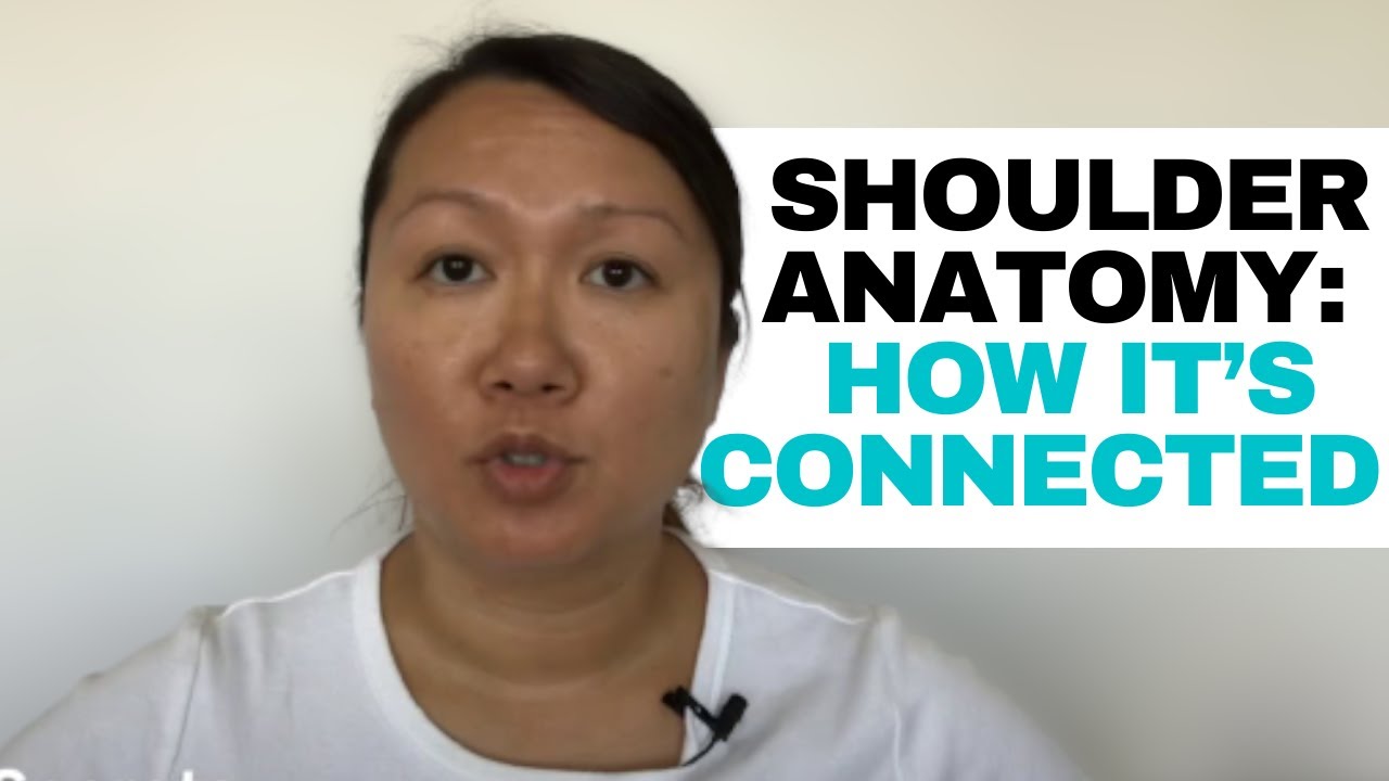 Shoulder Anatomy - How It&rsquo;s Connected | Quick Guide For Occupational Therapists