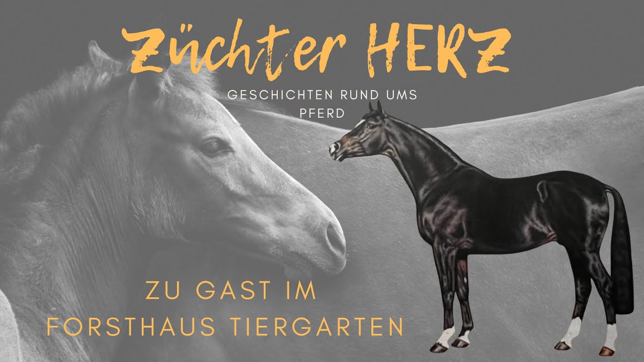 ZüchterHERZ zu Gast im Forsthaus Tiergarten - im Gespräch mit Hubertus Klein