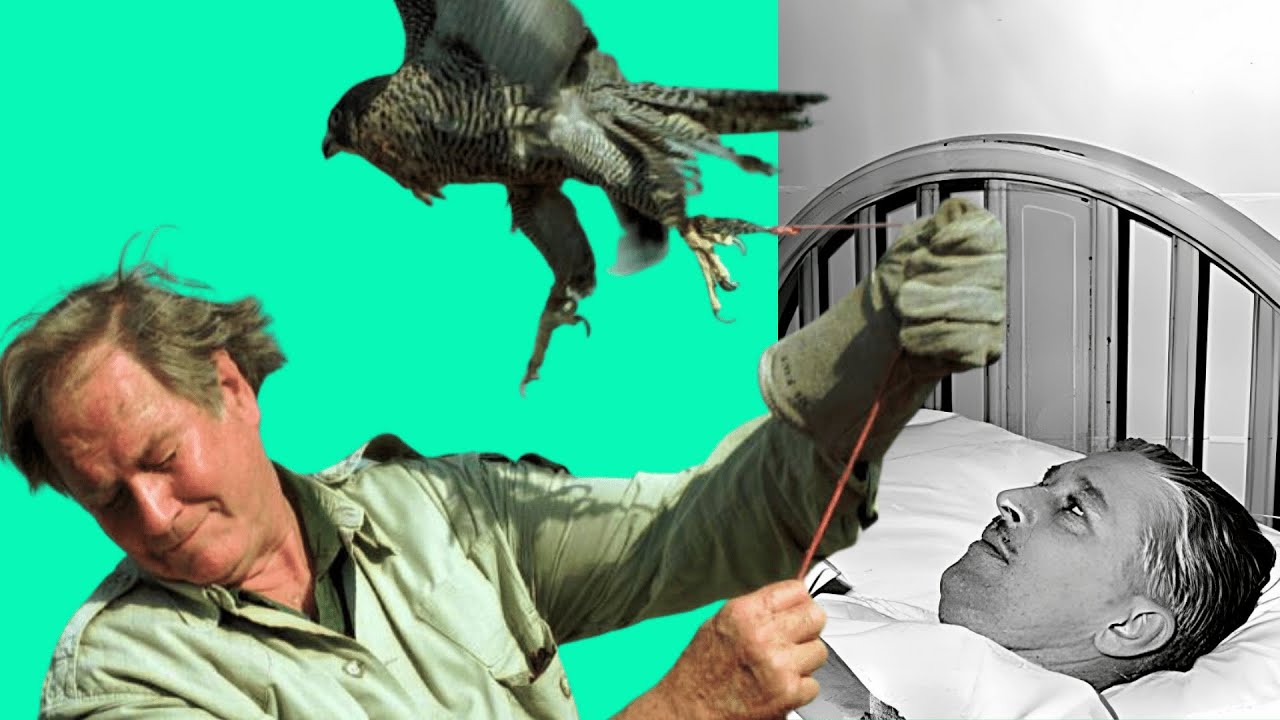 The Sad Reason Marlin Perkins Quit Wild Kingdom