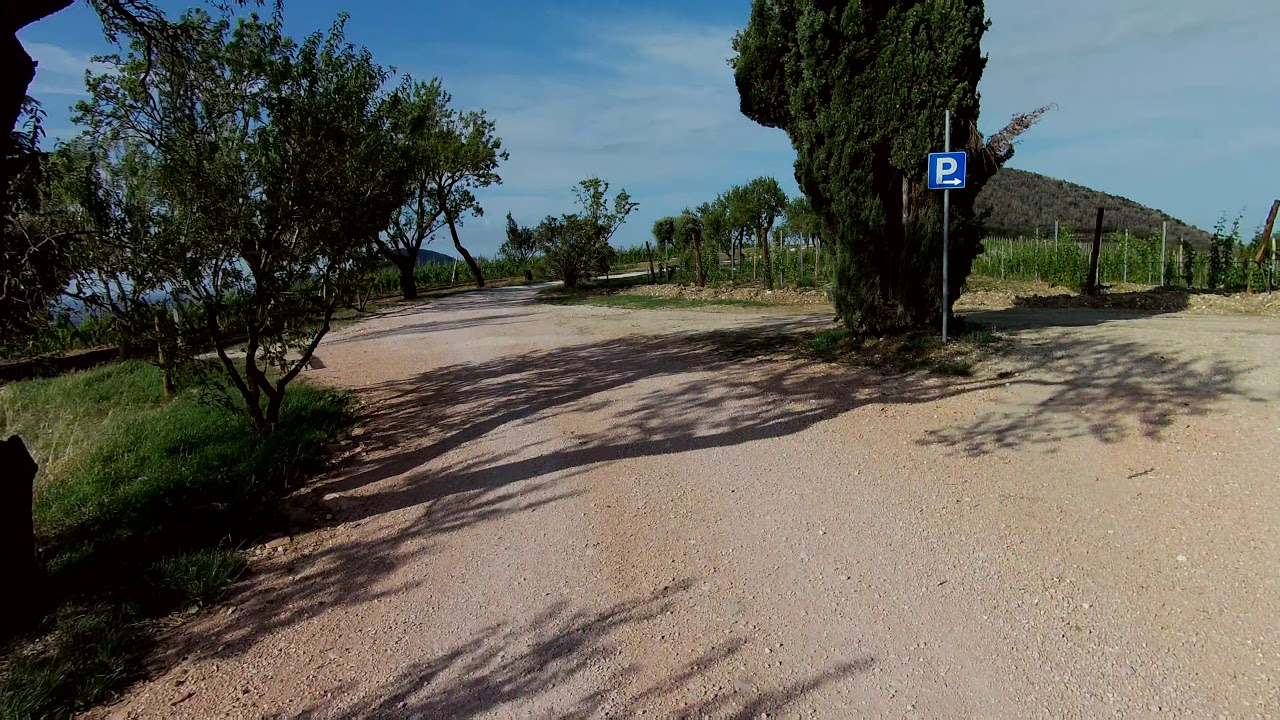 Monte Fasolo
