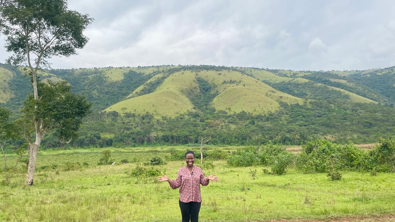 21 hectares of farmland for sale in Rwanda at ONLY 7M RWF ($4,800) per hectare.