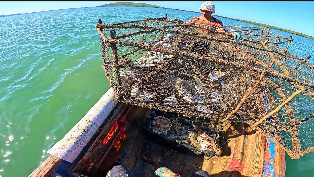 EPIC‼️10 LOBSTER TRAPS HAULED IN SHALLOW WATERS‼️POWER COUPLE.