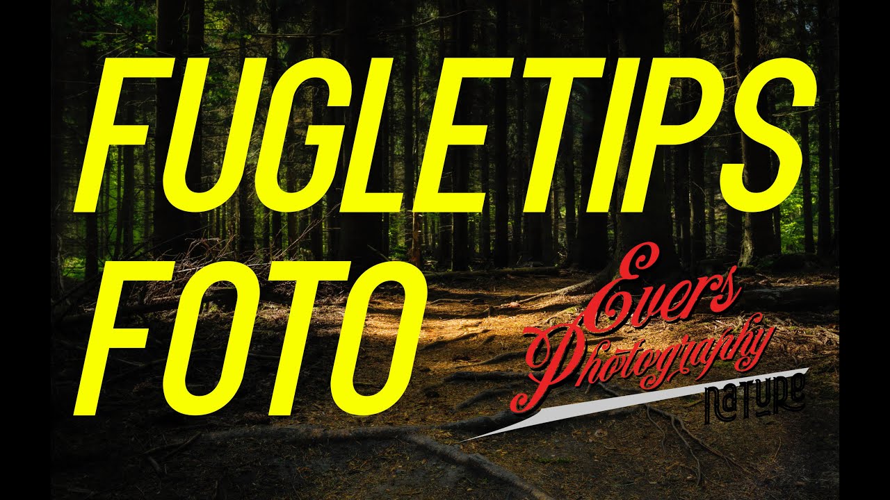 Evers Nature Photography: Tips om kamera/objektiver til fuglefotografering
