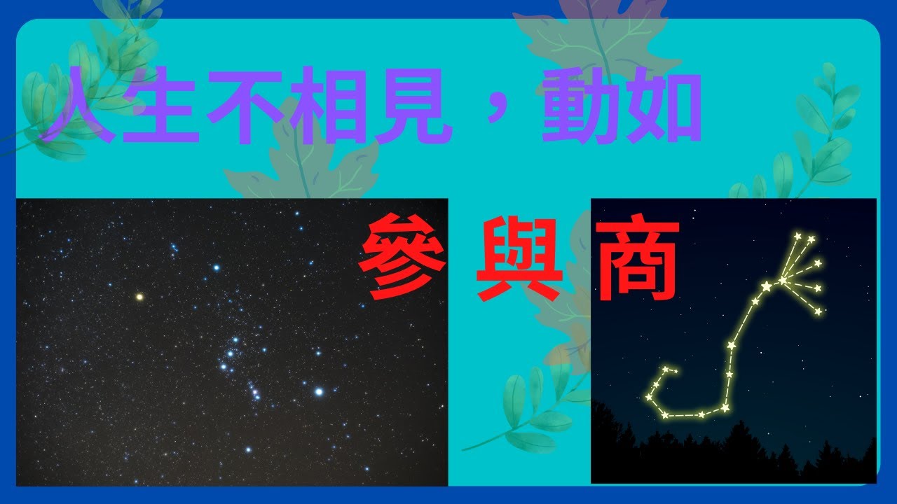【呷古文】杜甫-贈衛八處士