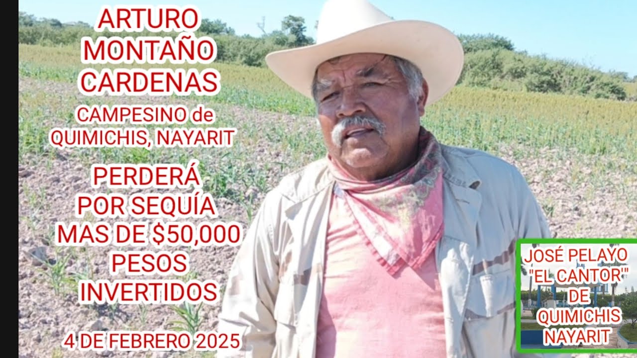 PERDERÁ MAS DE $50,000 PESOS ARTURO MONTAÑO CÁRDENAS AGRICULTOR DE QUIMICHIS,  NAYARIT ESTE AÑO