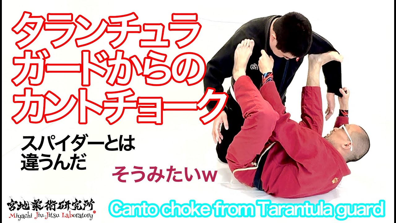 【柔術】#146 タランチュラガードからのカントチョークの解