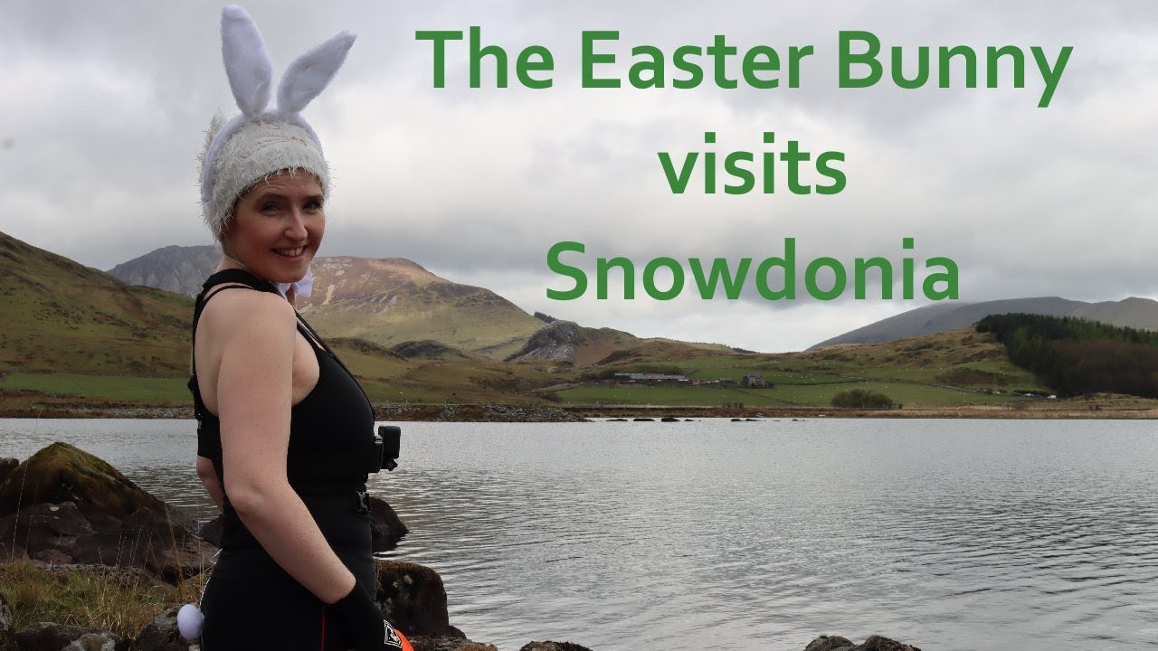 I Dressed Up as the Easter Bunny and Swam in Llyn y Gader