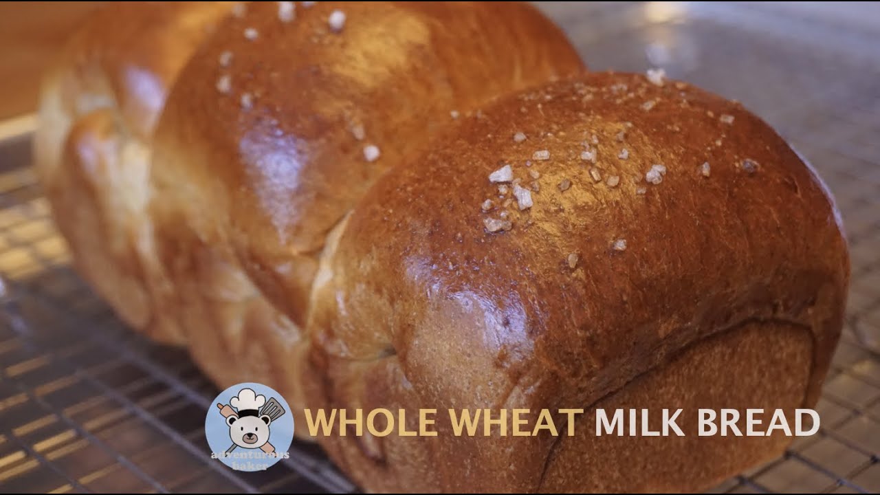Whole Wheat Milk Bread (全麦吐司)