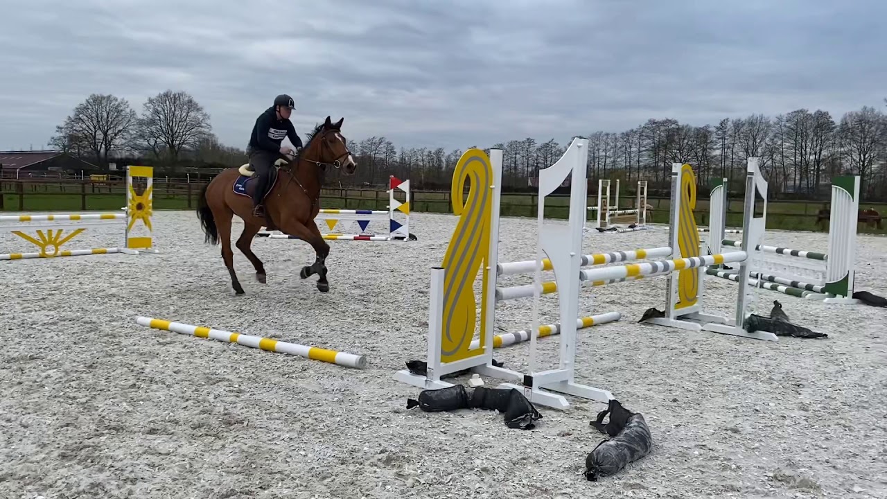 EK&rsquo;s a Golden Butterfly Z first time in the outdoor arena