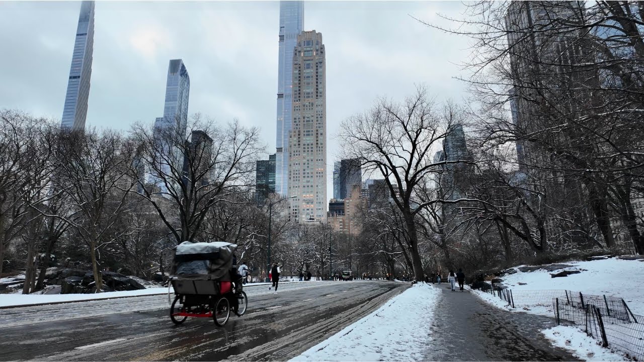 A Quieter Winter Walk in Central Park | Snowfall Afternoon, NYC