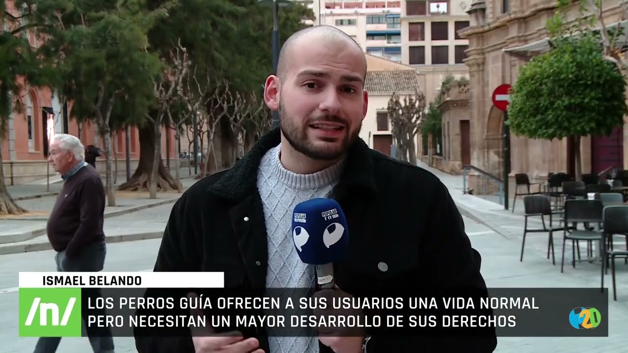 21/01/2026 Perros gu&iacute;a: autonom&iacute;a, derechos y el reto de su jubilaci&oacute;n en Murcia