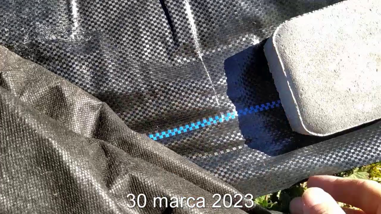 Rdest S03E01 Czym różni się agrowłóknina od agrotkanina czarna ogrodowa na chwasty. Przepuszcza wodę
