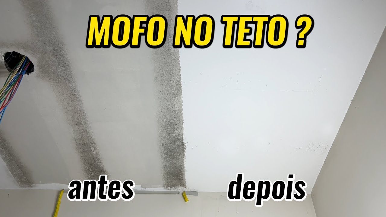 G&ecirc;nio, por que n&atilde;o pensei nisso antes, Produto que elimina o mofo de voltar