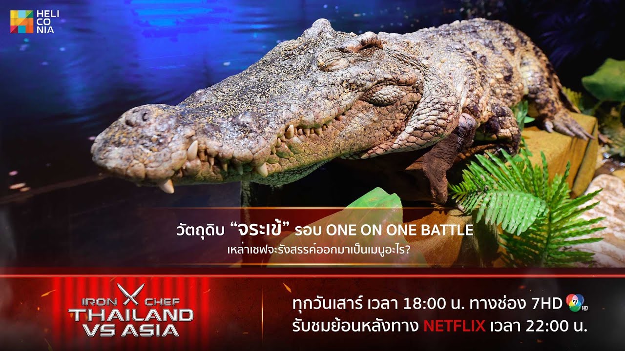 [Highlight] วัตถุดิบ “จระเข้” เหล่าเชฟจะรังสรรค์ออกมาเป็นเมนูอะไร?