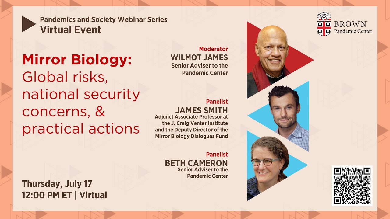 Mirror Biology: Global risks, national security concerns, and practical actions