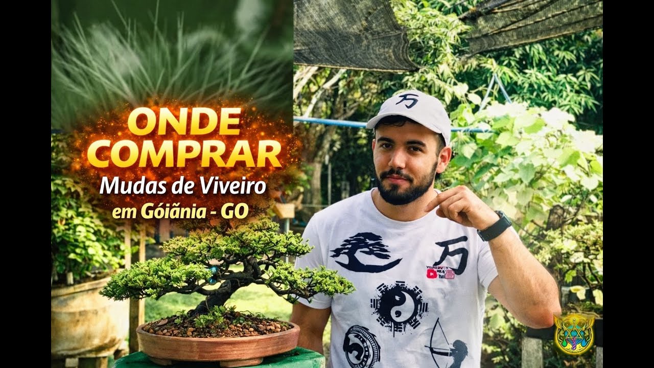 ONDE ENCONTRAR MUDAS de PLANTAS BARATAS para BONSAI 🌞☤