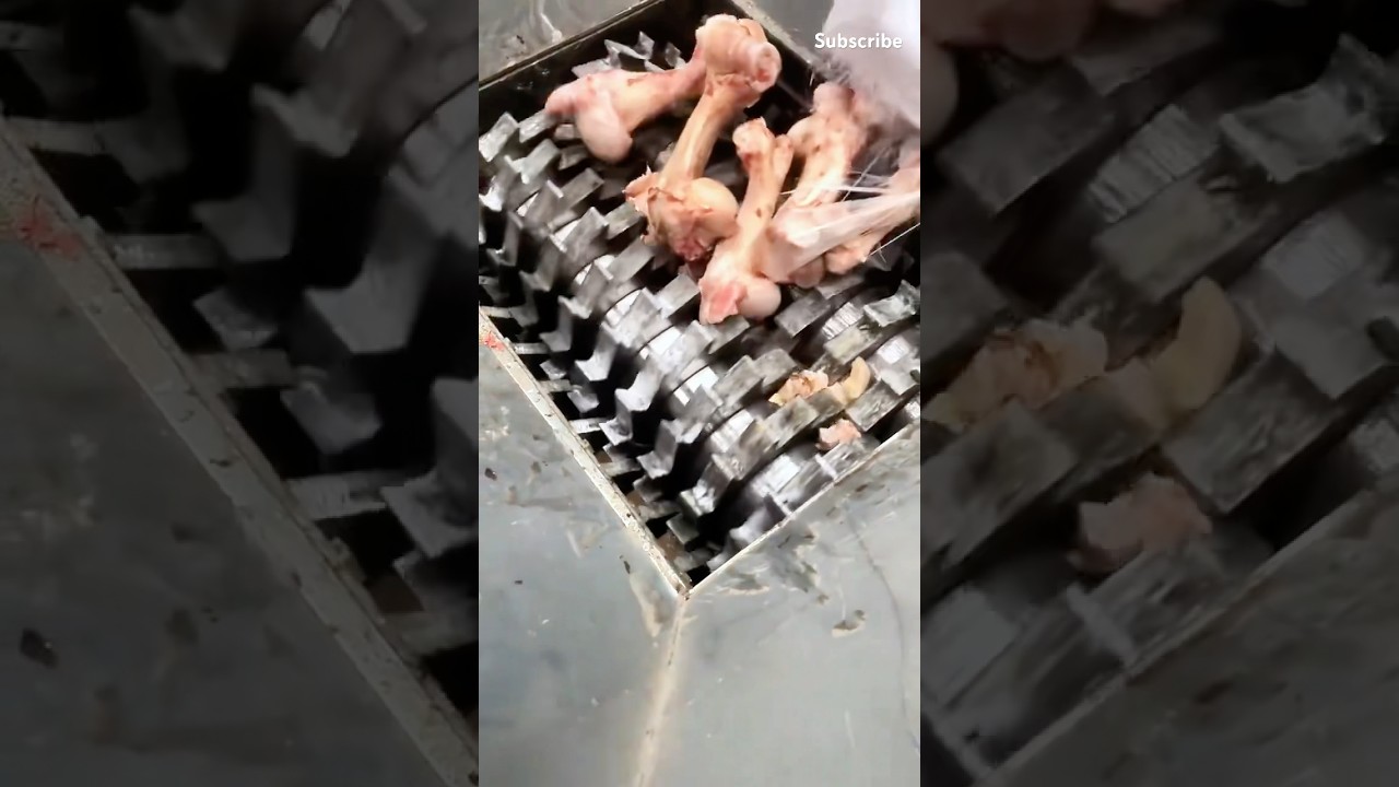 The process of disposing of large animal bones #shredder #machine