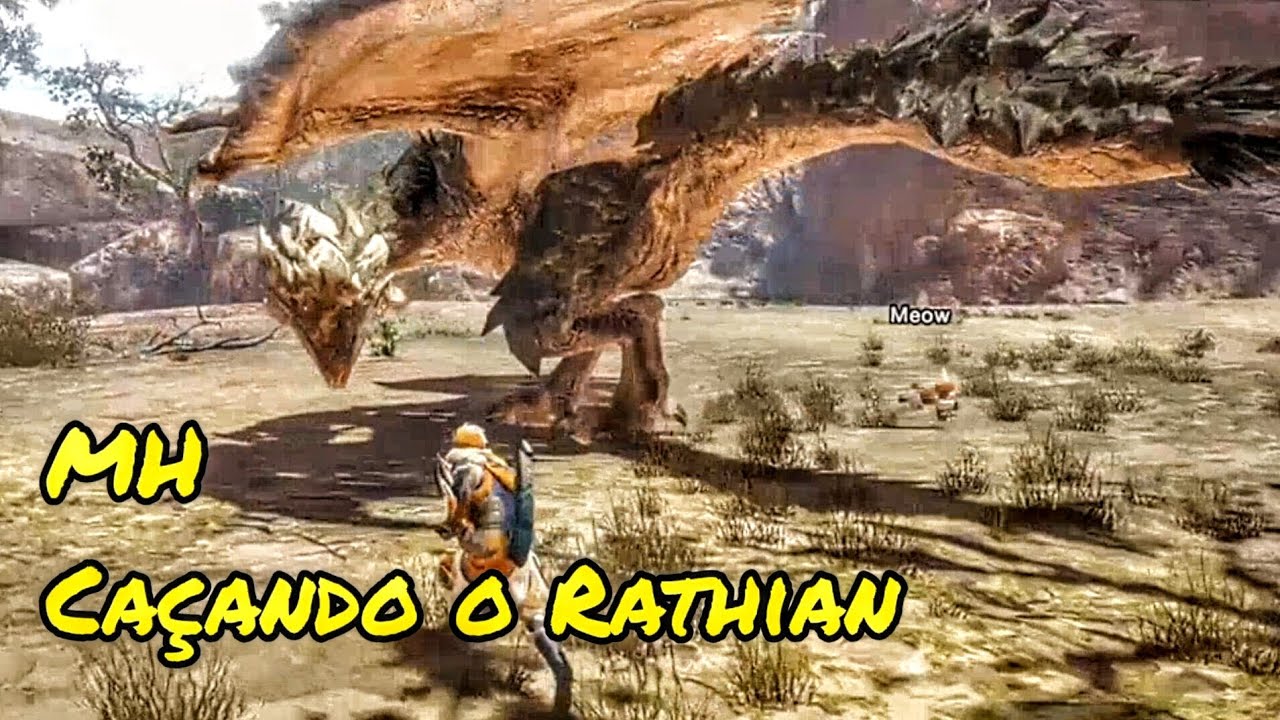 Monster Hunter- Caçando o Rathian