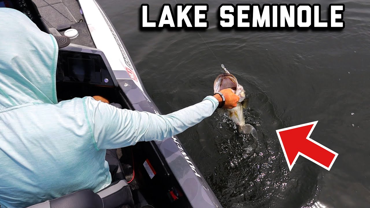 Lake Seminole has the GIANTS!! (Toyota Series Practice)
