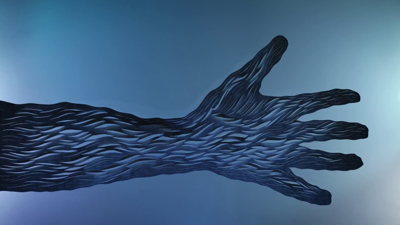 Explosions In The Sky - The Ecstatics (Official Video)