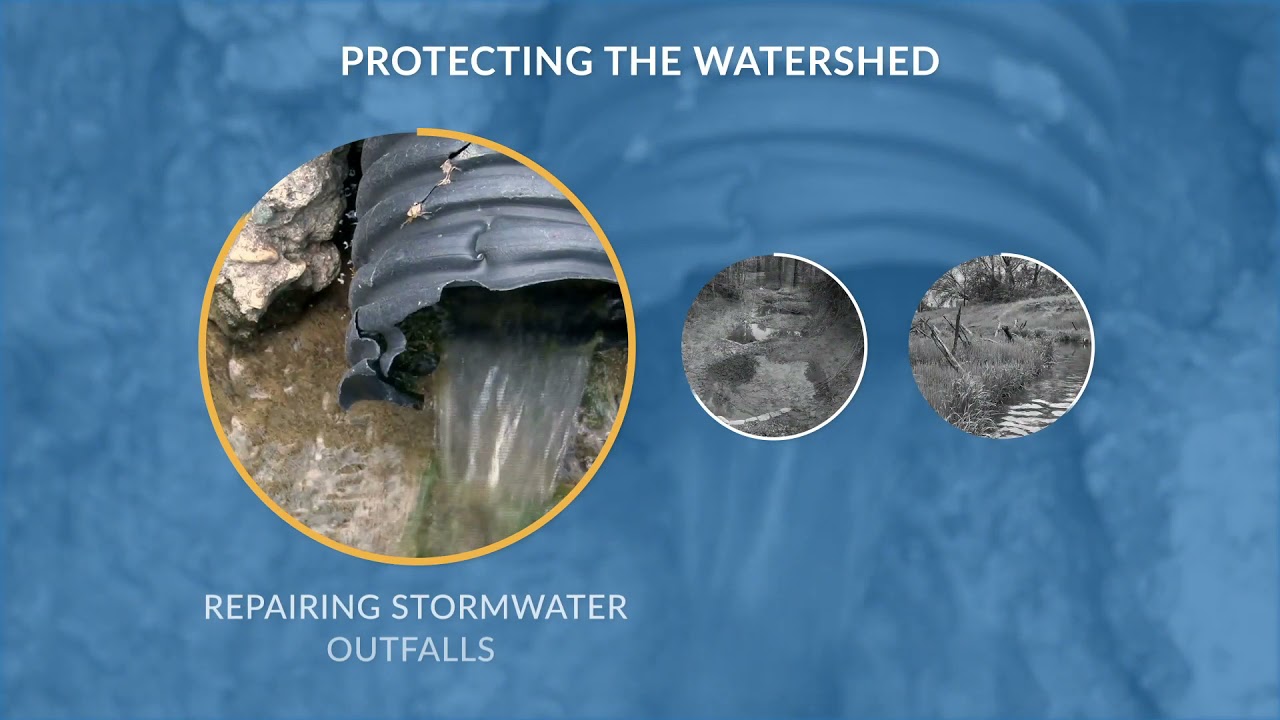 Protecting the Watershed