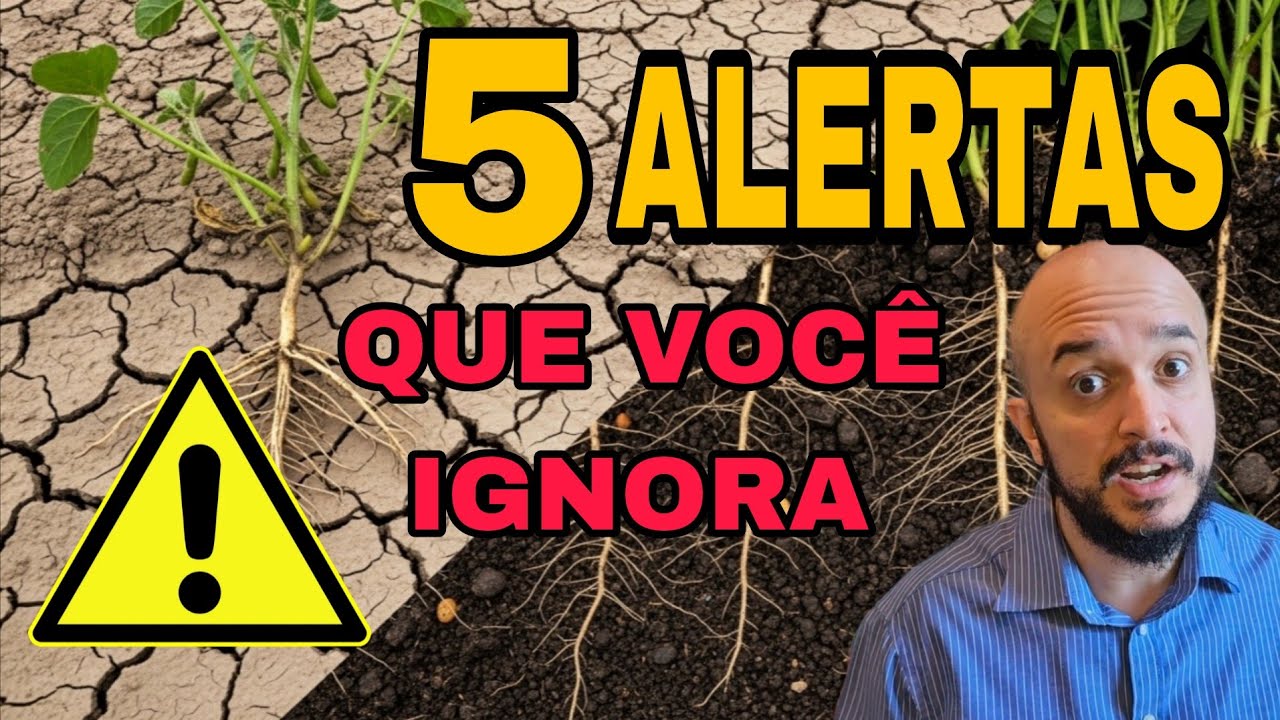 5 Sinais de Que Seu Solo Está Implorando por Ajuda