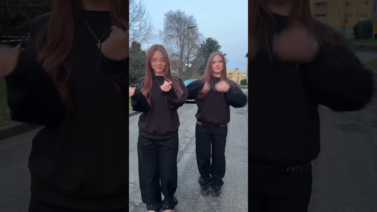 🖤🖤 #dance #shortvideo #fun #trending #trend #twins #viralshort #black #style #loveit #bestie